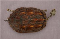 Chinese striped-neck turtle Collection Image, Figure 12, Total 13 Figures